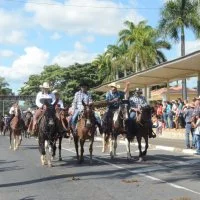 desfile cavalos 