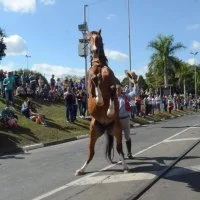 desfile cavalos 