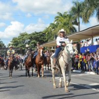 desfile cavalos 