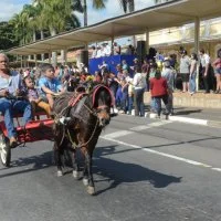 desfile cavalos 