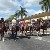 desfile cavalos 