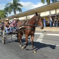 desfile cavalos 