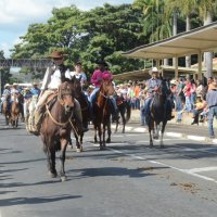 desfile cavalos 