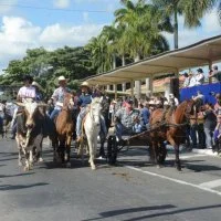 desfile cavalos 