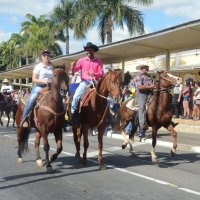 desfile cavalos 