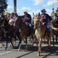 desfile cavalos 