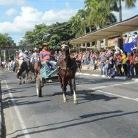 desfile cavalos 