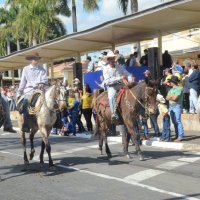 desfile cavalos 