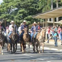 desfile cavalos 
