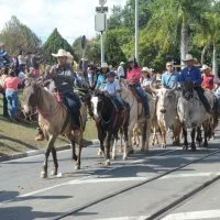 desfile cavalos 