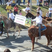 desfile cavalos 