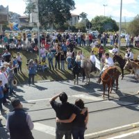 desfile cavalos 