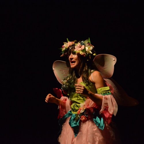 Festival de Ginstica e Dana 