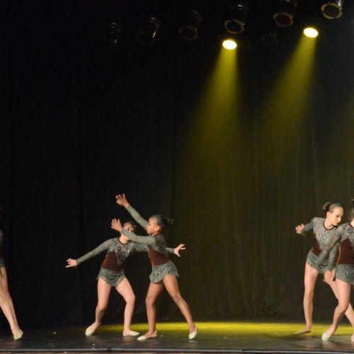 Festival de Gin?stica e Dan?a 