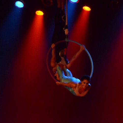 Festival de Gin?stica e Dan?a 