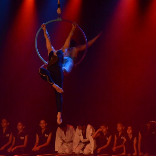 Festival de Gin?stica e Dan?a 