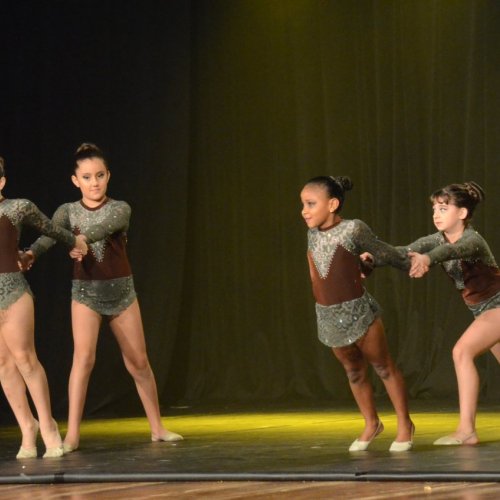 Festival de Gin?stica e Dan?a 