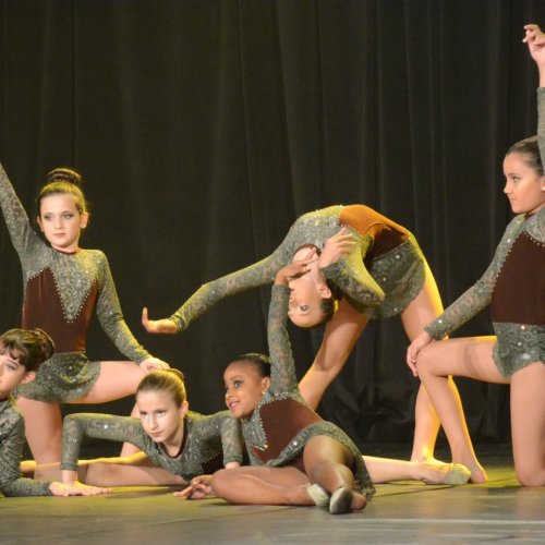 Festival de Gin?stica e Dan?a 