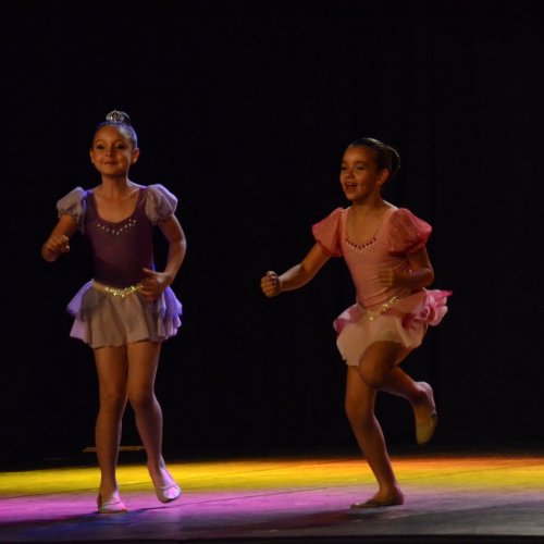 Festival de Gin?stica e Dan?a 