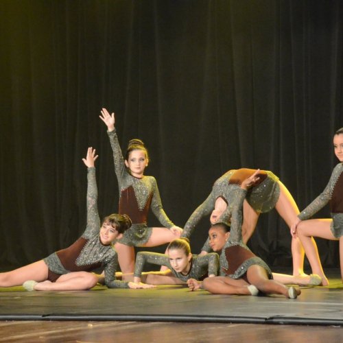 Festival de Gin?stica e Dan?a 