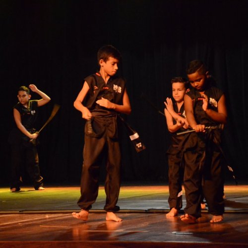 Festival de Gin?stica e Dan?a 