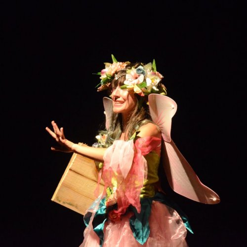 Festival de Gin?stica e Dan?a 