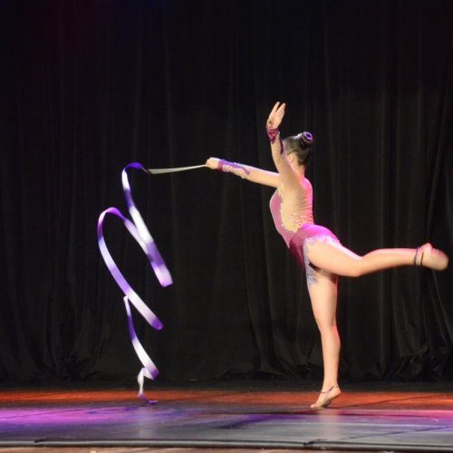 Festival de Gin?stica e Dan?a 