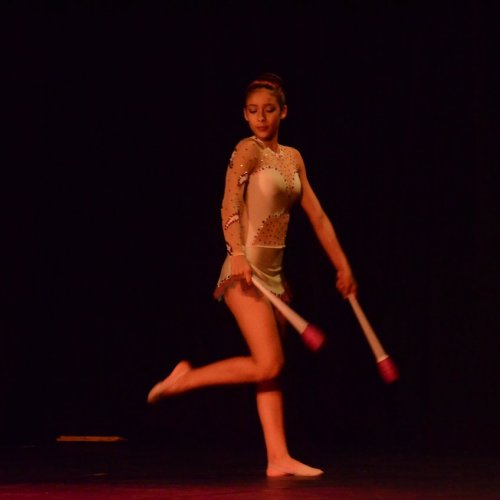 Festival de Gin?stica e Dan?a 