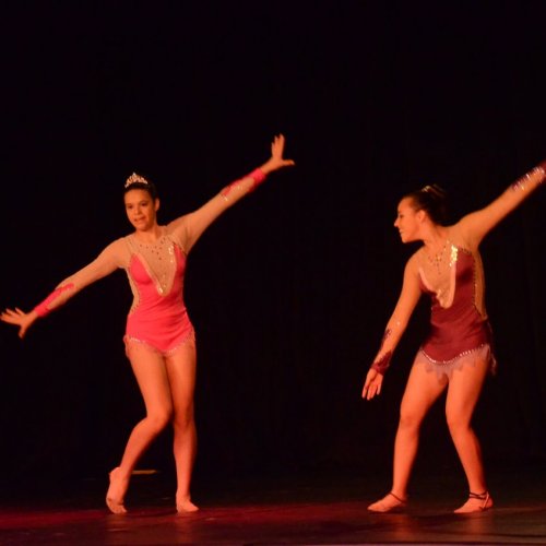 Festival de Gin?stica e Dan?a 