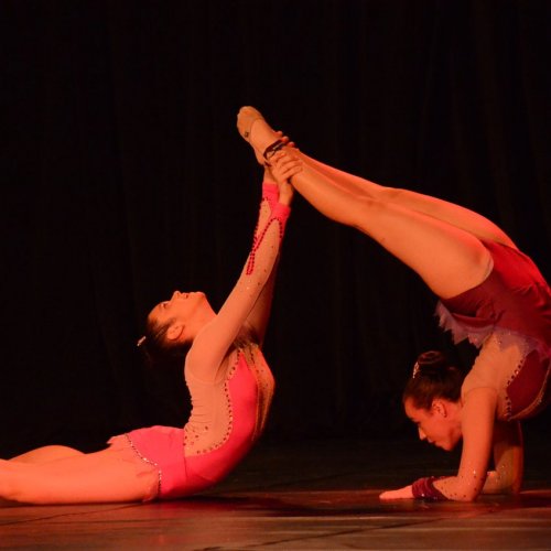 Festival de Gin?stica e Dan?a 