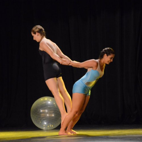 Festival de Gin?stica e Dan?a 