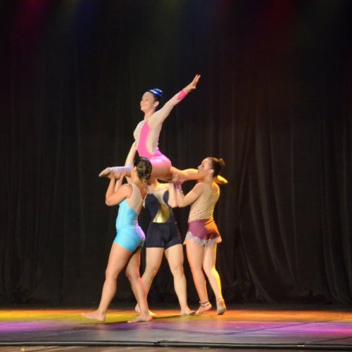 Festival de Gin?stica e Dan?a 