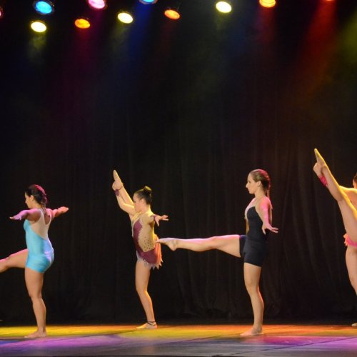 Festival de Gin?stica e Dan?a 