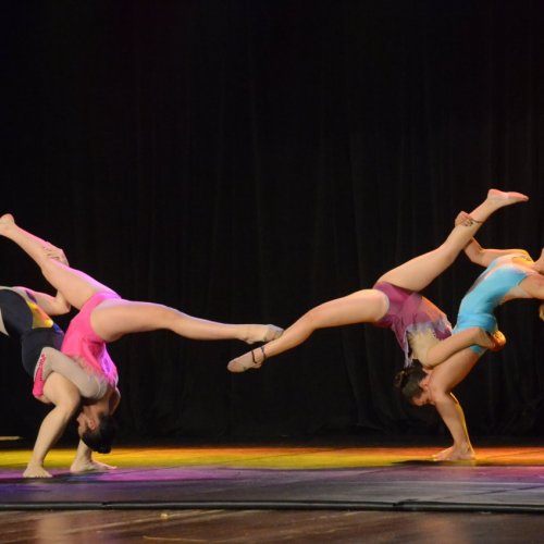 Festival de Gin?stica e Dan?a 