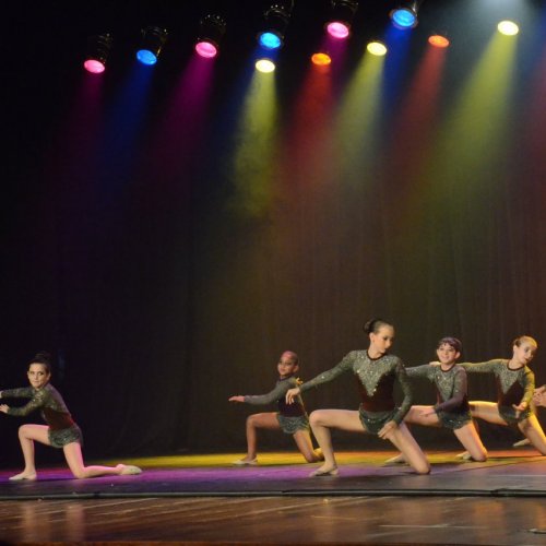 Festival de Gin?stica e Dan?a 