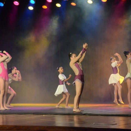 Festival de Gin?stica e Dan?a 