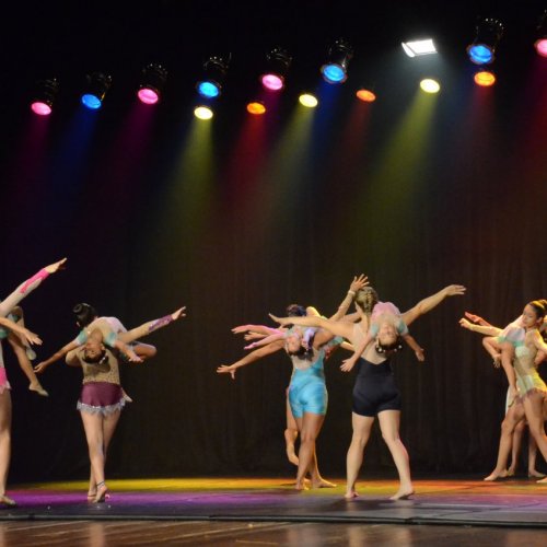 Festival de Gin?stica e Dan?a 