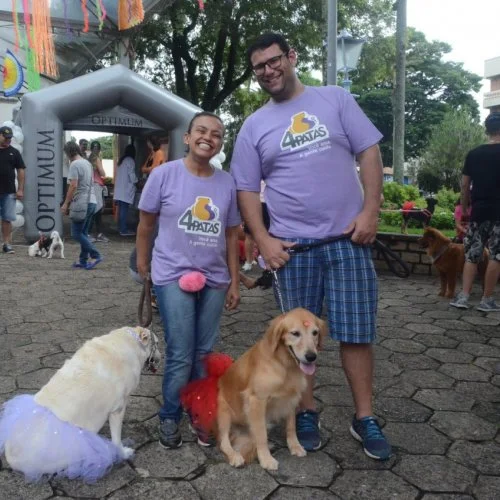 Pet Folia - Social 