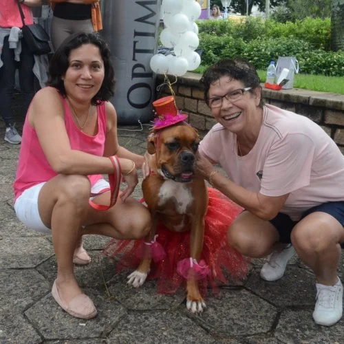 Pet Folia - Social 
