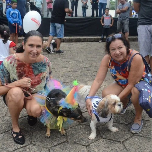 Pet Folia - Social 