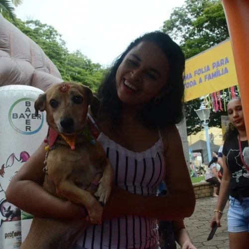Pet Folia - Social 