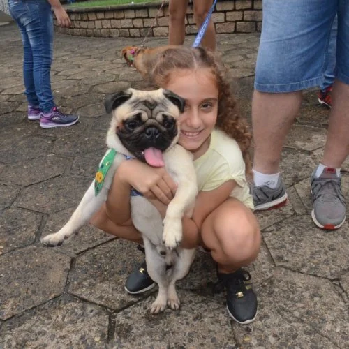 Pet Folia - Social 