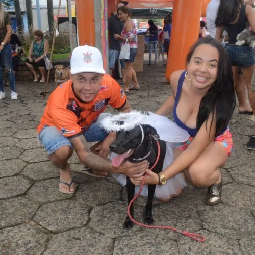 Pet Folia - Social 