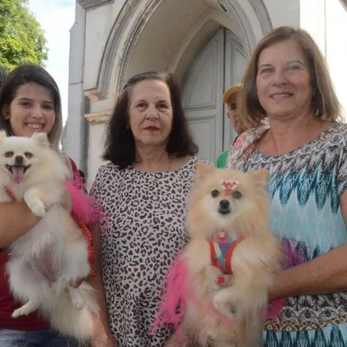 Pet Folia - Social 