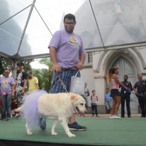 Pet Folia 