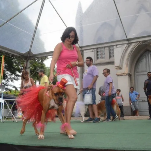Pet Folia 