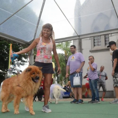 Pet Folia 
