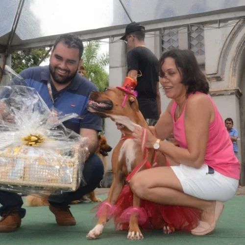 Pet Folia 