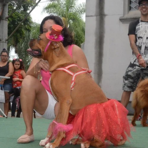 Pet Folia 