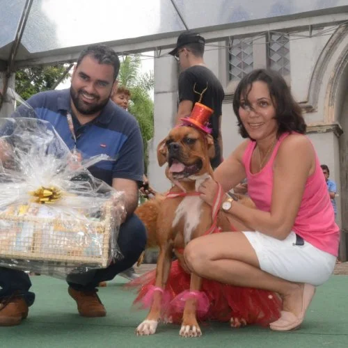 Pet Folia 